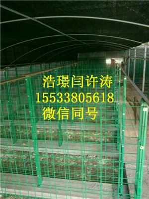 工厂化食用菌网架的生产管理与应用